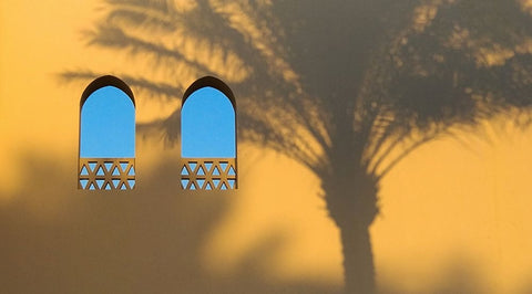 Palm White Modern Wood Framed Art Print with Double Matting by Stepanov, Dmitry