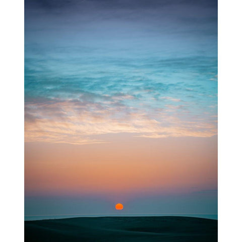 Dune In Japan 01 Gold Ornate Wood Framed Art Print with Double Matting by Ideharayuki