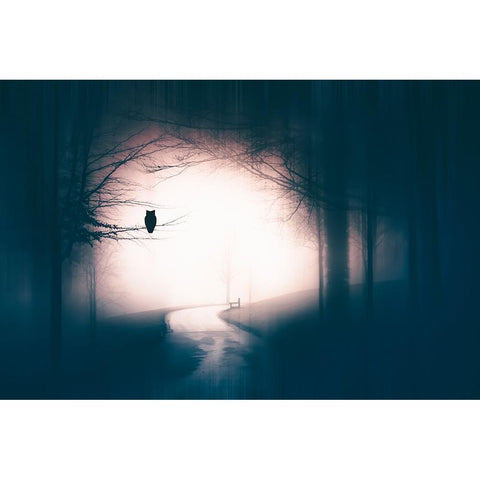 Accompanied Black Modern Wood Framed Art Print with Double Matting by Erika, Eros