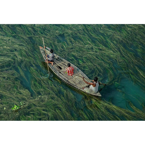 Crossing The Algae RIVer Black Modern Wood Framed Art Print by Amdad Hossain, Muhammad