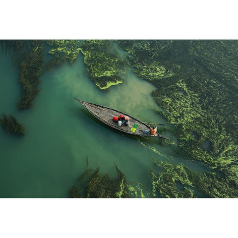 Crossing The Algae RIVer Black Modern Wood Framed Art Print with Double Matting by Amdad Hossain, Muhammad