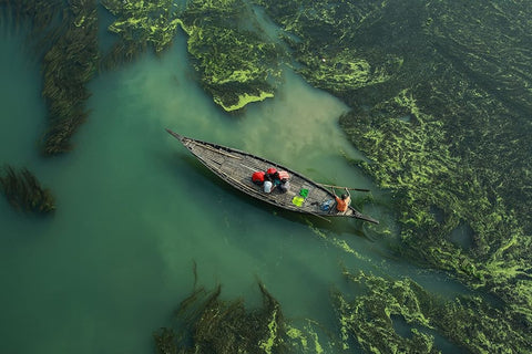 Crossing The Algae RIVer Black Ornate Wood Framed Art Print with Double Matting by Amdad Hossain, Muhammad