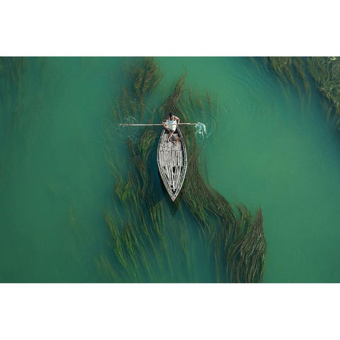 Crossing Algae RIVer Black Modern Wood Framed Art Print with Double Matting by Amdad Hossain, Muhammad