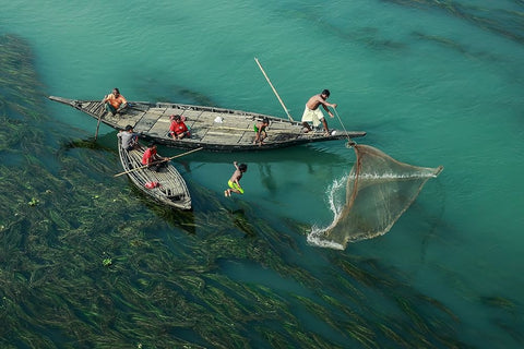 Fishing In The Algae RIVer White Modern Wood Framed Art Print with Double Matting by Amdad Hossain, Muhammad