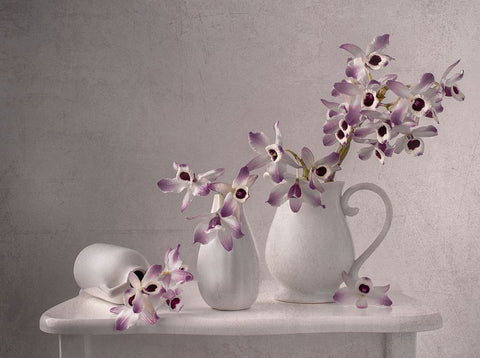 Lilac Orchid White Modern Wood Framed Art Print with Double Matting by Perfoncio, Margareth