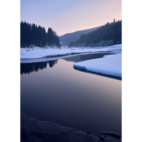 Elbe Reservoir Gold Ornate Wood Framed Art Print with Double Matting by Vukmanov, Adam