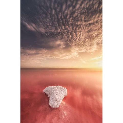 Salinas De Torrevieja-Spain Gold Ornate Wood Framed Art Print with Double Matting by Antonio Trivino, Jose