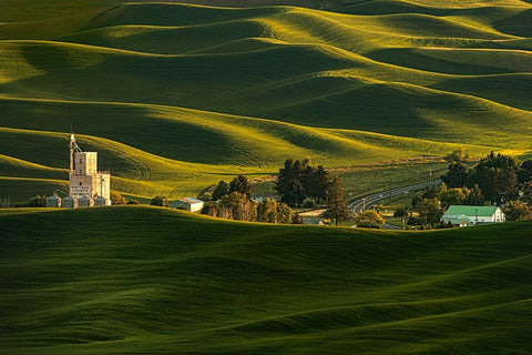 Palouse Wheat Fields Black Ornate Wood Framed Art Print with Double Matting by Dickau, Kristel