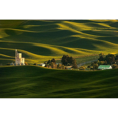 Palouse Wheat Fields Black Modern Wood Framed Art Print by Dickau, Kristel