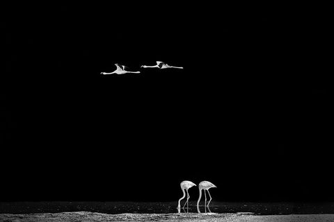 The World Of Couples White Modern Wood Framed Art Print with Double Matting by Jin, Jie