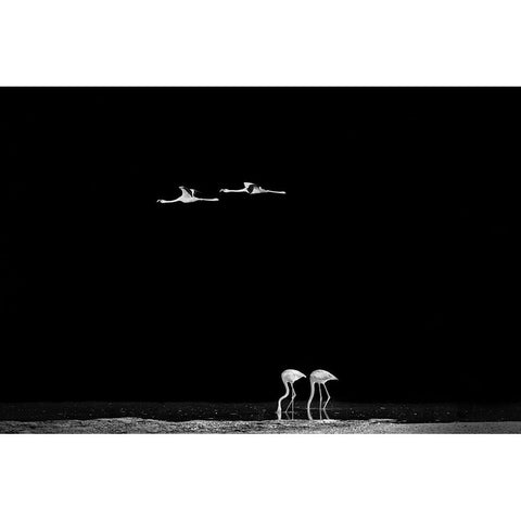 The World Of Couples Black Modern Wood Framed Art Print by Jin, Jie