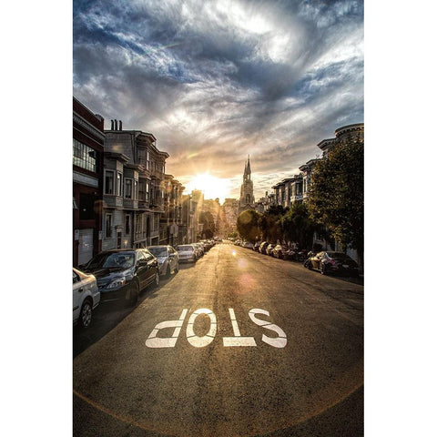 Stop Black Modern Wood Framed Art Print by Sowter, Ashley