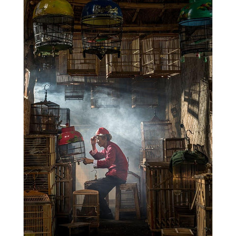 Bird Market Black Modern Wood Framed Art Print with Double Matting by Fifi, Magdalena