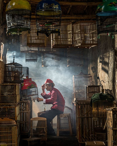 Bird Market White Modern Wood Framed Art Print with Double Matting by Fifi, Magdalena