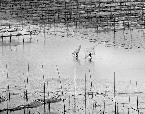 Catching Small Shrimp 2 White Modern Wood Framed Art Print with Double Matting by Muliani Hartojo, Angela