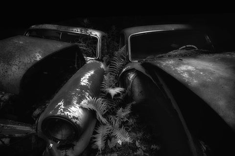 Two Volvos White Modern Wood Framed Art Print with Double Matting by Pettersson, Benny