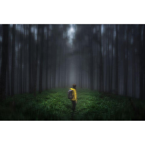 Anxious Forest Black Modern Wood Framed Art Print by Sugita, Masaki