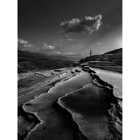 Lord Of Nature White Modern Wood Framed Art Print by Arabzadeh, Abbas