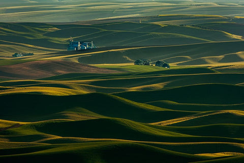 Palouse Wheat Fields Black Ornate Wood Framed Art Print with Double Matting by Dickau, Kristel