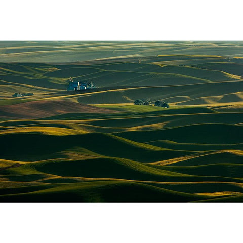 Palouse Wheat Fields White Modern Wood Framed Art Print by Dickau, Kristel
