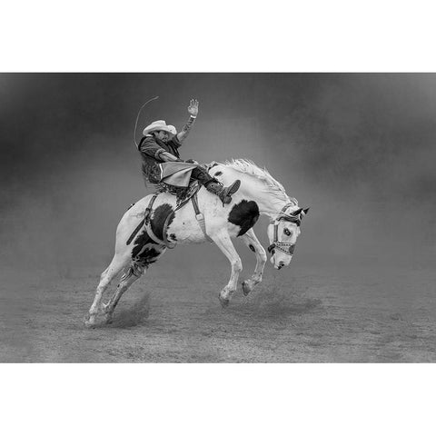Get Off Me! White Modern Wood Framed Art Print by Ni, Xiaolin
