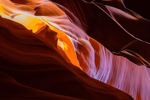 Nature Magic White Modern Wood Framed Art Print with Double Matting by Tan, June