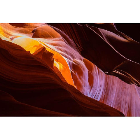 Nature Magic Black Modern Wood Framed Art Print by Tan, June