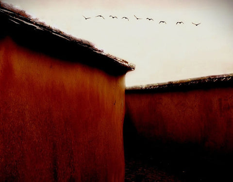 Leaving For Winter Black Ornate Wood Framed Art Print with Double Matting by Thomas, Gareth