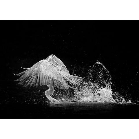 N/A Gold Ornate Wood Framed Art Print with Double Matting by Li, Alex