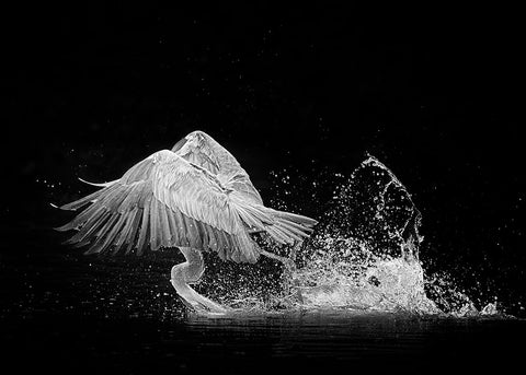 N/A White Modern Wood Framed Art Print with Double Matting by Li, Alex