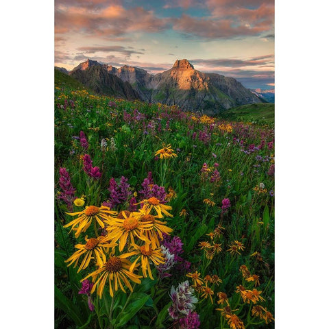 Colorful Season Black Modern Wood Framed Art Print by Xu, Mei