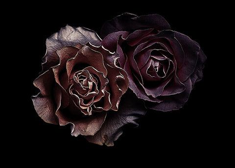 Roses Black Ornate Wood Framed Art Print with Double Matting by Julie, Angel