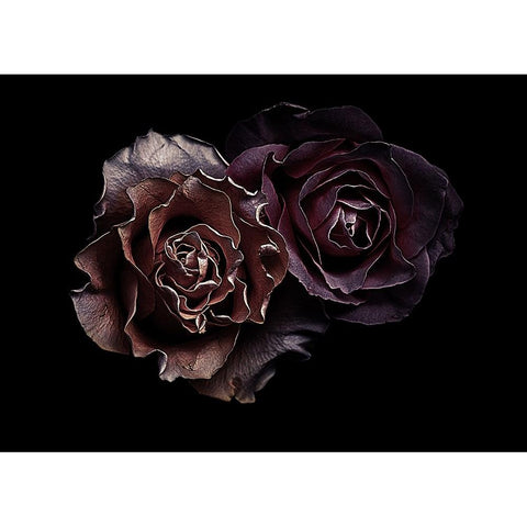 Roses Gold Ornate Wood Framed Art Print with Double Matting by Julie, Angel