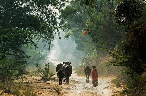 On The Road Black Ornate Wood Framed Art Print with Double Matting by Damico, Giuseppe