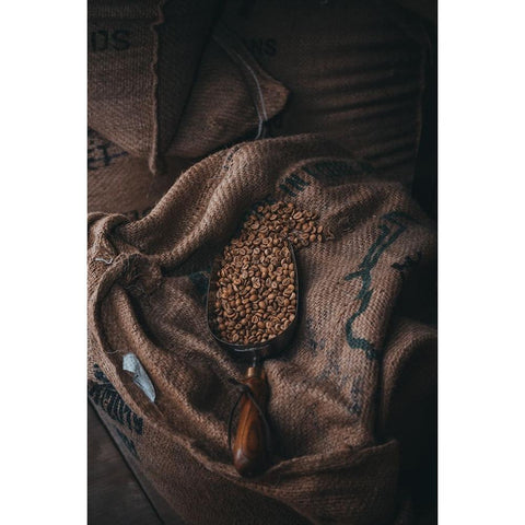 Coffee Black Modern Wood Framed Art Print with Double Matting by Hamedani, Ardalan