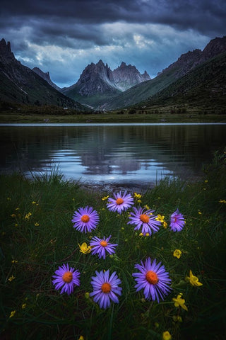 Melancholy Valley Black Ornate Wood Framed Art Print with Double Matting by Cui, Yuan