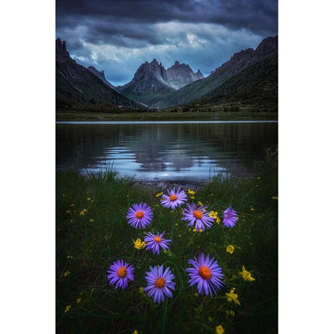 Melancholy Valley Black Modern Wood Framed Art Print by Cui, Yuan