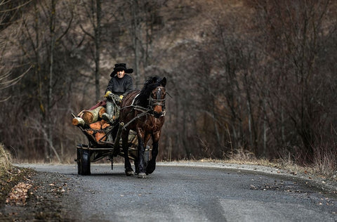 Timber Transporter 01 Black Ornate Wood Framed Art Print with Double Matting by Perovich, Irene