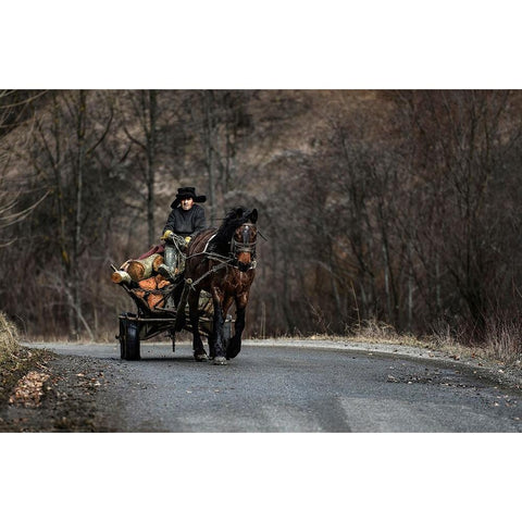 Timber Transporter 01 Gold Ornate Wood Framed Art Print with Double Matting by Perovich, Irene