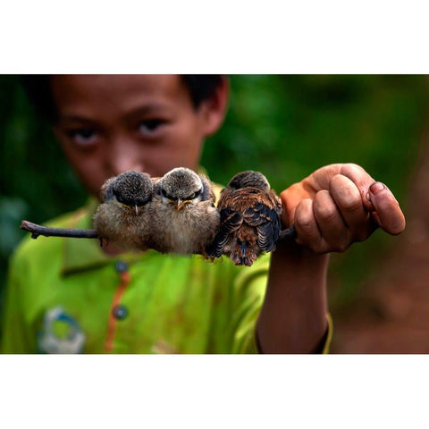 Child And Bird Gold Ornate Wood Framed Art Print with Double Matting by Nie, Yibing