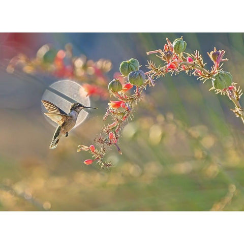 N/A Gold Ornate Wood Framed Art Print with Double Matting by Li, Alex