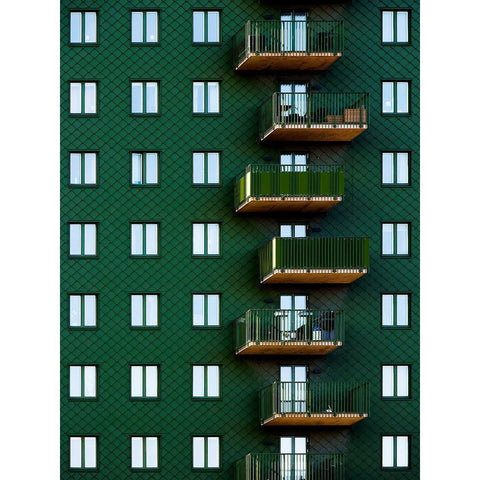 Snaky Black Modern Wood Framed Art Print by Surleac, Marius