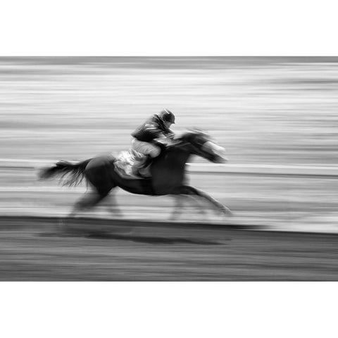 Horse Racing 5 White Modern Wood Framed Art Print by Zhou, Steven