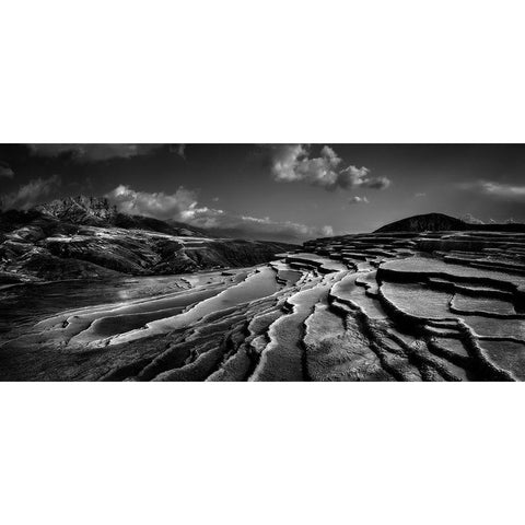 Lord Of Nature Black Modern Wood Framed Art Print by Arabzadeh, Abbas