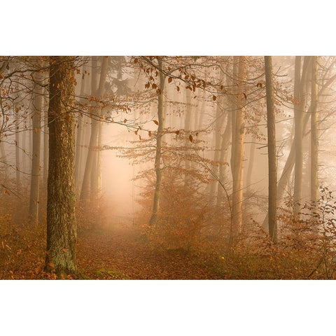 A year has gone Black Modern Wood Framed Art Print with Double Matting by Maier, Norbert