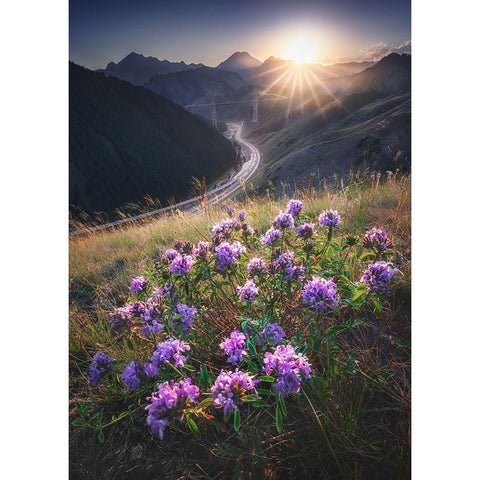 Guozigou Bridge In Full Bloom Black Modern Wood Framed Art Print with Double Matting by Cui, Yuan