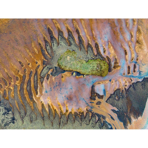 Dragon Gold Ornate Wood Framed Art Print with Double Matting by Kravanja, Jure