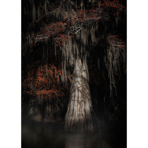 Cypress Tree White Modern Wood Framed Art Print by Lu, Linda