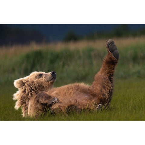 Pedicure Anyone? Gold Ornate Wood Framed Art Print with Double Matting by Gill, Barbara