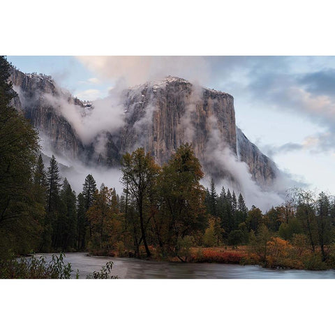 Fall Color In Mist Black Modern Wood Framed Art Print with Double Matting by Shi, Mei